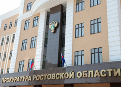 Прокуратура РО потребовала запретить видео издевательства над котом 