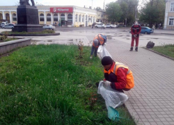 Коммунальные службы Таганрога поддержали инициативу таганрожцев обустроить клумбы у памятника Чехова