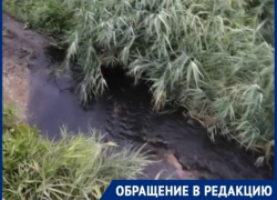 Подписчики засняли, как на "Топольке" грязная жижа стекает в залив 