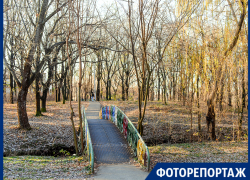В Таганроге можно увидеть дубы, которым 250 лет и погулять в историческом парке