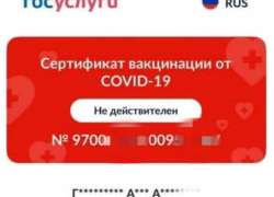 Просроченные  QR-коды: сбой на Госуслугах или новые сроки действия сертификатов