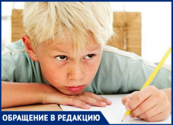 «Каникулы для учителя или ребенка?»: задалась вопросом таганроженка