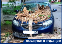 УК "Сервис-Юг" на протяжении пяти лет игнорировала просьбы таганрожцев 