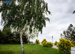 До +23 потеплеет на новой рабочей неделе в Таганроге 