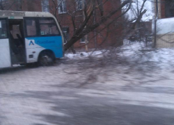 В Таганроге маршрутное такси с пассажирами протаранило дерево