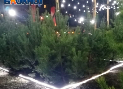 Погода в Таганроге в последнюю неделю уходящего года