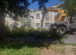 Петровская в Таганроге перекрыта: пилят деревья