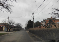 «В ход идут деревья» - жители улицы Плеханова плевали на действия администрации Таганрога