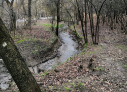 Не зимушка-зима в Таганроге: прогноз погоды на рабочую неделю