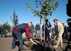 Почти 200 деревьев высадили в саду Победы на «Самбекских высотах» под Таганрогом