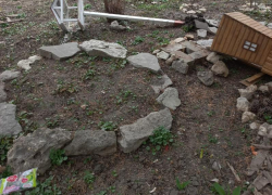 «Сломать, разбить, вырвать» - за ночь уничтожили красоту возле детской библиотеки Таганрога