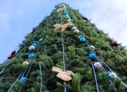 В Таганроге городскую елку откроют 24 декабря