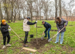 Впервые городские чиновники заговорили о необходимости полива саженцев в Таганроге