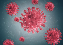 Количество пациентов с коронавирусом в РО увеличивается