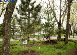 Таганрог: прогноз погоды на выходные дни 18 и 19 марта