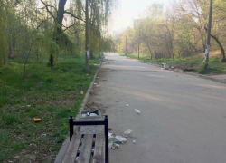 Рощу «Дубки» не спасают даже субботники – вдоль дорожек «гуляет» только мусор из переполненных урн
