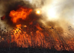 Горел камыш….в Таганроге объяснили причину запаха гари