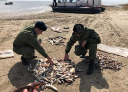 Браконьеры не прекращают незаконный вылов рыбы под Таганрогом