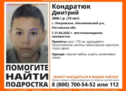 15-летний мальчик пропал в Покровском