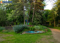 Праздничная афиша мероприятий парка КиО им. М. Горького с 29 августа по 1 сентября