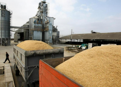 Таганрогский зерновой терминал намерена перекупить компания «Русские фонды»