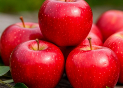 Яблочный Спас: традиции и запреты для таганрожцев на 19 августа