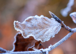 Таганрожцы, будьте предельно внимательны!