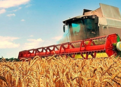 В Ростовской области  увеличат объем переработки сельхозпродукции