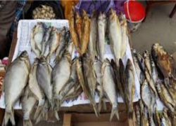 В Таганроге уничтожили  более 70 килограмм рыбной продукции