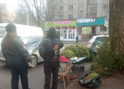 Мобильная группа проверяет законность работы продавцов пиротехники и елок в Таганроге