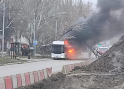 В Таганроге на автобус с пассажирами рухнуло дерево, есть пострадавшие