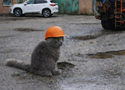 Что делать будем: администрация рассказала о планах на дороги Таганрога