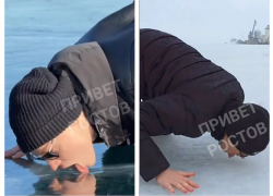 Лизнули и прославились: Таганрогский залив стал жертвой челленджа от Shamanа