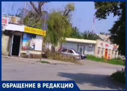 Обрезав ветки, работники «Благоустройства» не думают их убирать