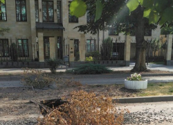 Снова в Таганроге провалилась земля 