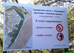 О пребывании граждан на территории Таганрогского городского лесничества