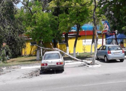 В Таганроге на автомобиль упало  сухое дерево