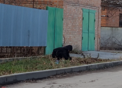 Район Михайловка в Таганроге превратился в витрину наркоторговли 