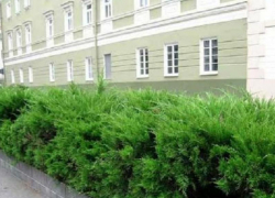В Таганроге у Дворца Алфераки появится живая изгородь