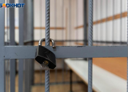 19-летнего таганрожца осудили за государственную измену