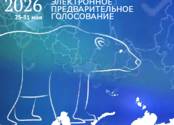 Заведующие садов и школ, директор строительной компании, консультант депутатов: кто участвует в праймериз «Единой России» от округа Таганрога