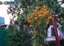 Жара возвращается: в выходные в Таганроге снова до +30°С