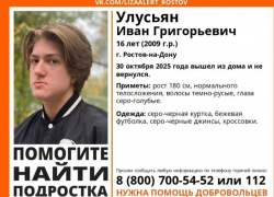 Таганрожцев просят помочь в поисках подростка, пропавшего шесть дней назад