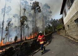 Два самолета, тушившие пожары в Португалии, сделали посадку  в Таганроге