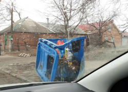 В Таганроге некоторые граждане ведут себя, как животные с пятачком