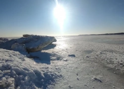 "Птички моржуют": таганроженка поделилась эффектными фотографиями зимнего пляжа
