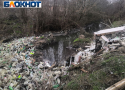 Не Доном единым: таганрогским рекам тоже нужен хотя бы день в году