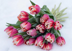 Погодная мозаика на длинный уик-энд: после снега — +12° в Таганроге