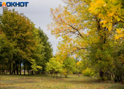 28 ноября: что можно и нельзя делать таганрожцам в Гурьев день