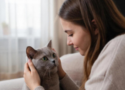 Кошкам плевать на своих хозяев? Ученые взялись развенчать миф о равнодушии мурлык